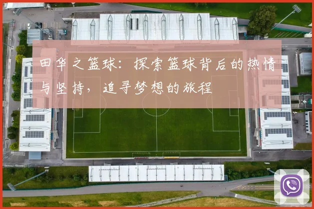 田华之篮球：探索篮球背后的热情与坚持，追寻梦想的旅程