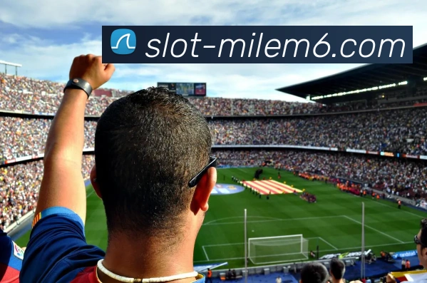 米乐APP 高清赛事图